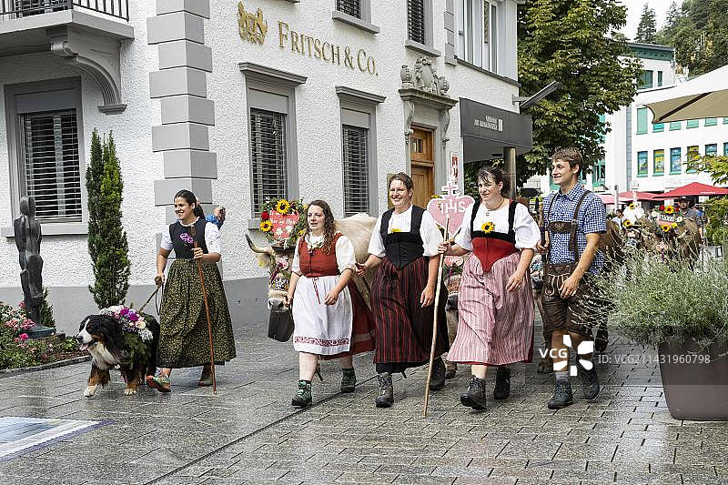 列支敦士登瓦杜兹的阿尔卑斯山放牧图片素材