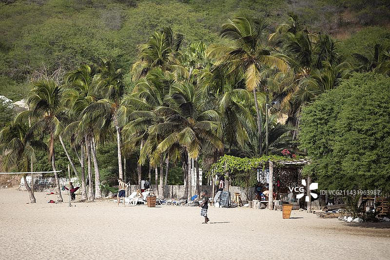 海滩上的椰子树，非洲佛得角圣地亚哥塔拉法尔的白色沙滩图片素材