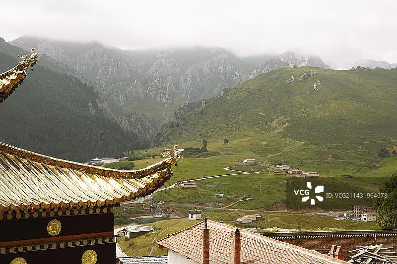 中国甘肃省郎木寺的金色寺庙屋顶和绿色山谷景观图片素材