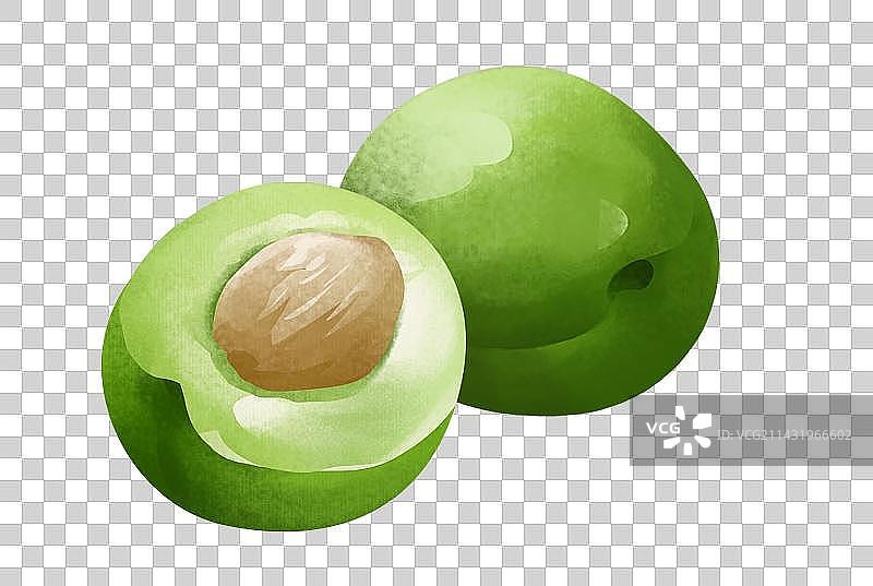 青梅插画元素图片素材
