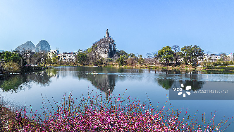 春天桃花盛开时节桂林的塔山图片素材