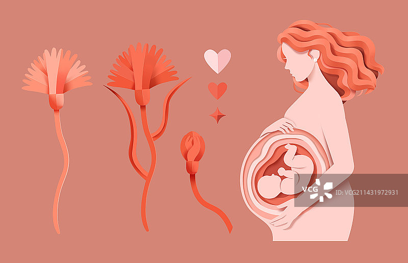 母亲节剪纸风插画素材集合 怀孕妈妈与花卉图片素材