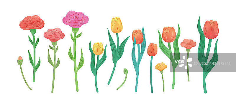 唯美水彩风格郁金香与玫瑰花卉素材组合图片素材