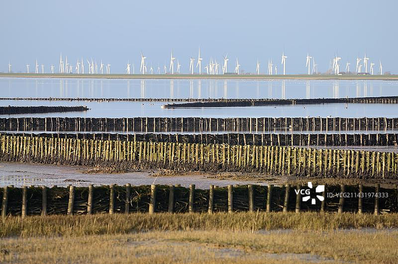 胡苏姆附近的Dockkoog洪泛区中的丁坝和风力涡轮机,后方是北部海滩,石勒苏益格-荷尔斯泰因瓦登海国家公园,联合国教科文组织世界遗产,德国石勒苏益格-荷尔斯泰因州,欧洲图片素材