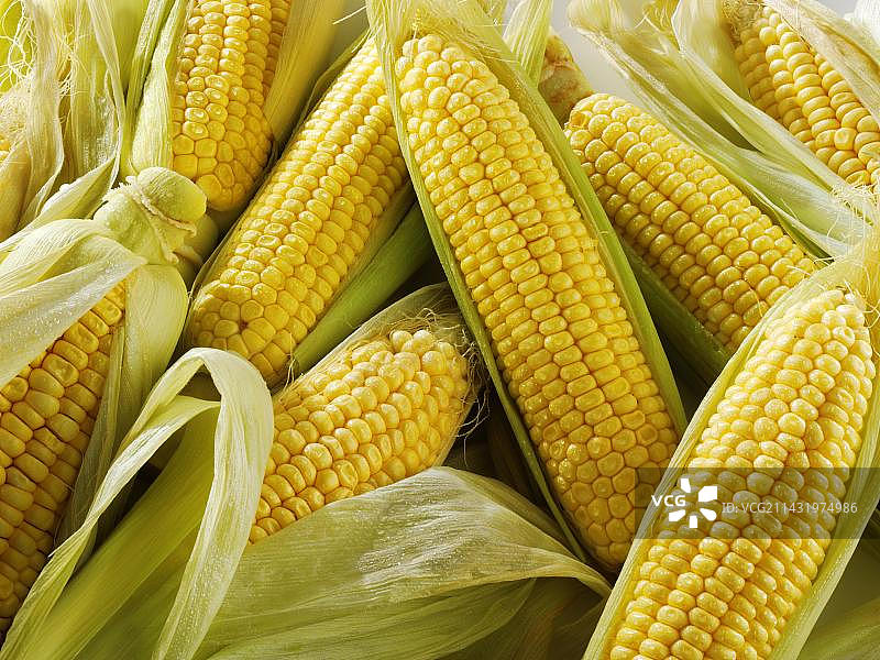 新鲜的玉米棒图片素材