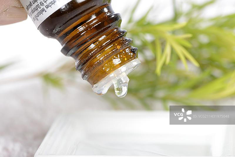 茶树油图片素材