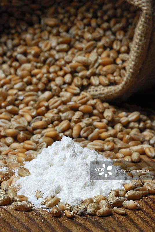 小麦、谷物、面粉图片素材
