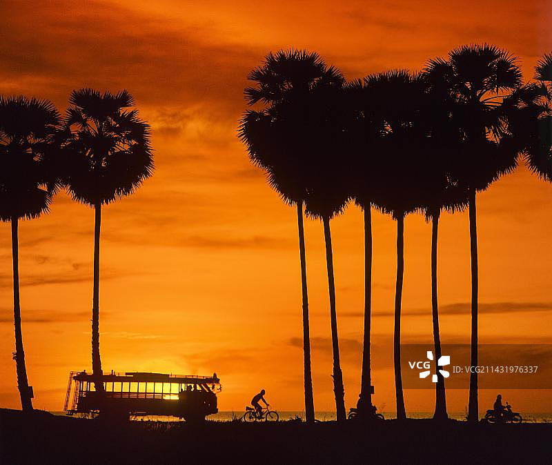 泰国普吉岛卡隆海滩日落时分的摩托车、巴士和棕榈树剪影图片素材