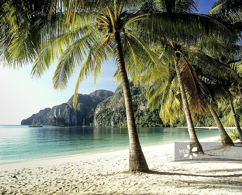 泰国南部甲米府皮皮群岛通赛海滩的棕榈树图片素材