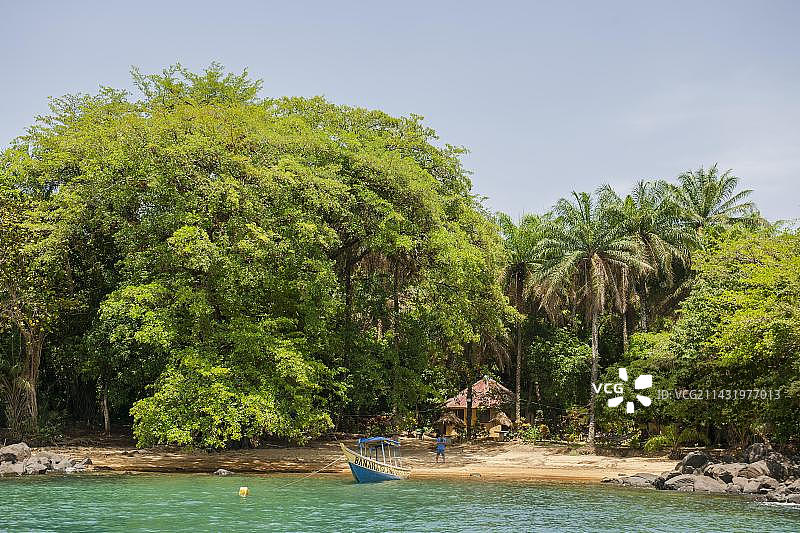 香蕉群岛热带树木下的沙滩，位于塞拉利昂西部非洲图片素材