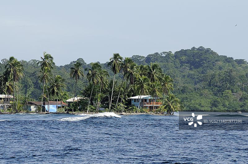 巴斯蒂门托斯岛棕榈海岸建筑，位于中美洲巴拿马博卡斯德尔托罗群岛图片素材