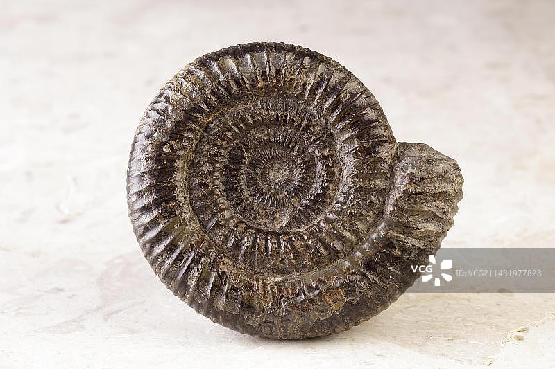 亚扪人图片素材