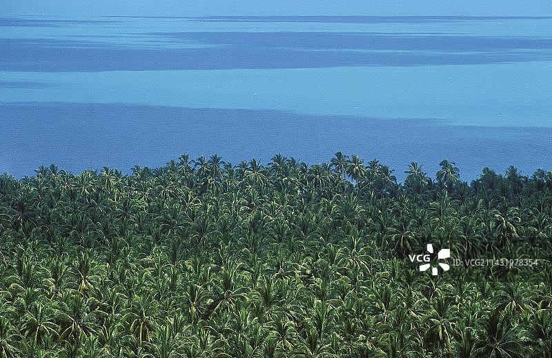 泰国苏梅岛的椰子树和大海图片素材