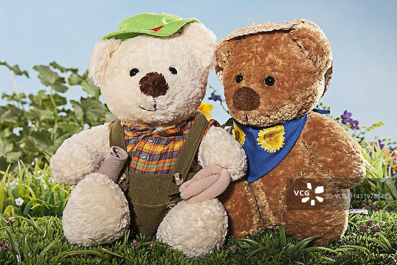 草地上的两个泰迪熊图片素材