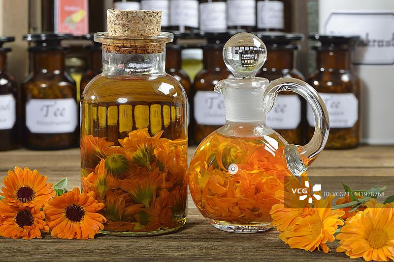 金盏花（Calendula officinalis），金盏花油图片素材