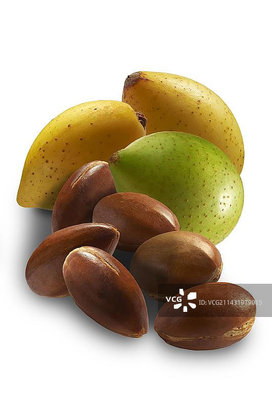 新鲜去皮和未去皮的摩洛哥坚果（Argania spinosa）图片素材