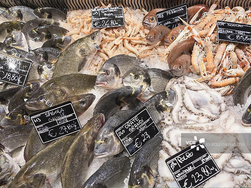 意大利罗马Eataly食品店的地中海鲜鱼展示图片素材