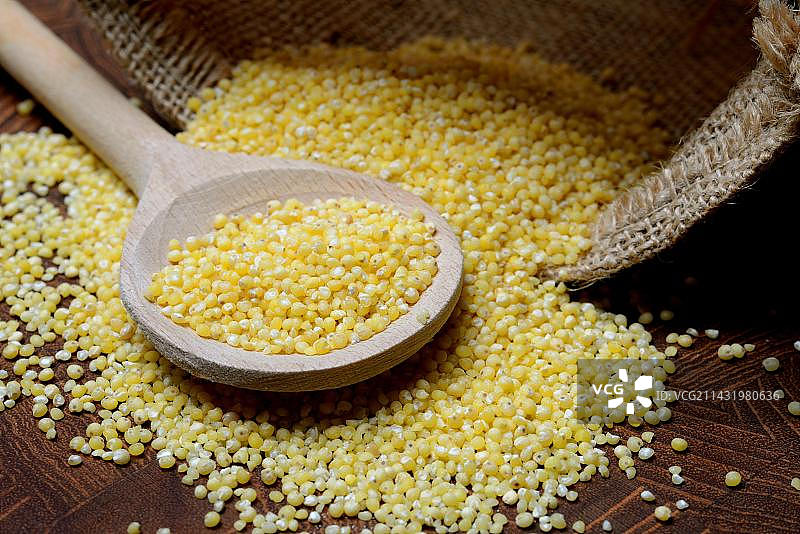 真小米（黍）图片素材