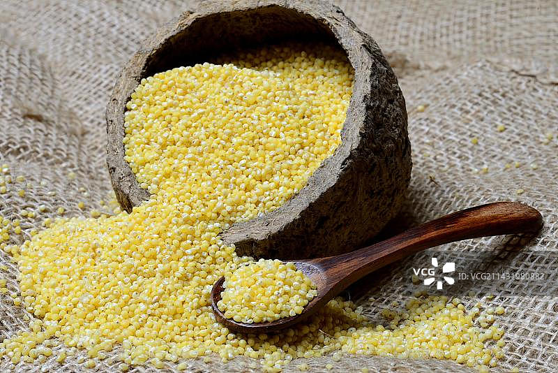 真小米（黍）图片素材