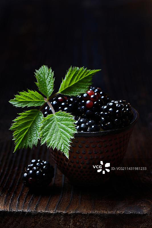 灌木莓（灌木莓）图片素材