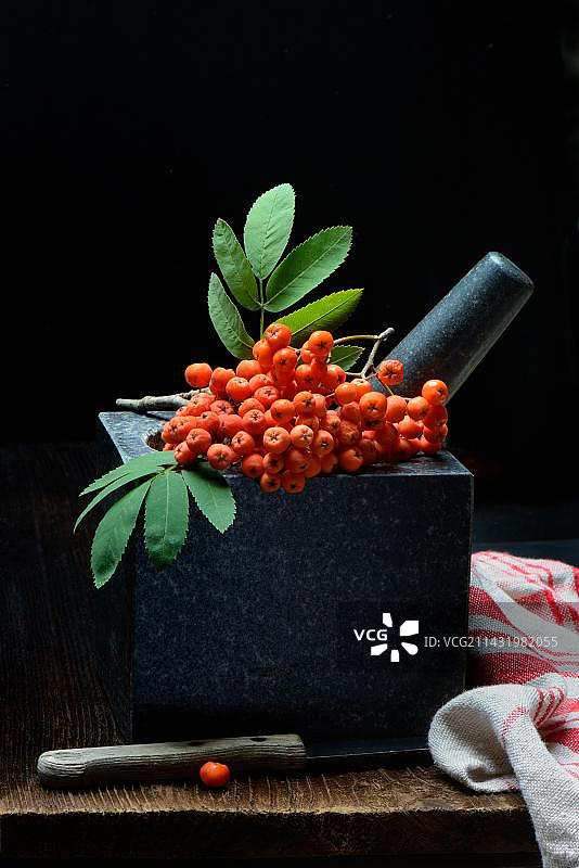 花楸浆果图片素材