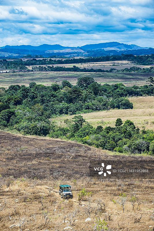 在加蓬洛佩国家公园稀树草原行驶的旅游吉普车图片素材