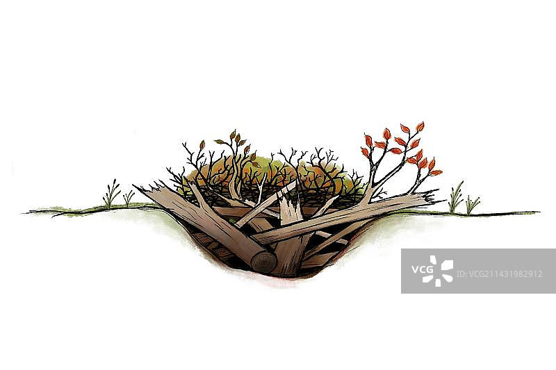 枯木堆横截面的逼真插画，具有生态价值的栖息地，可提高自然花园的生物多样性图片素材