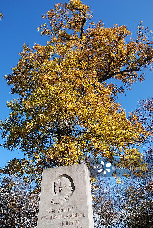 位于德国巴登-符腾堡州斯图加特艾兴海因200年历史自然保护区的埃莉·霍伊斯纪念馆图片素材