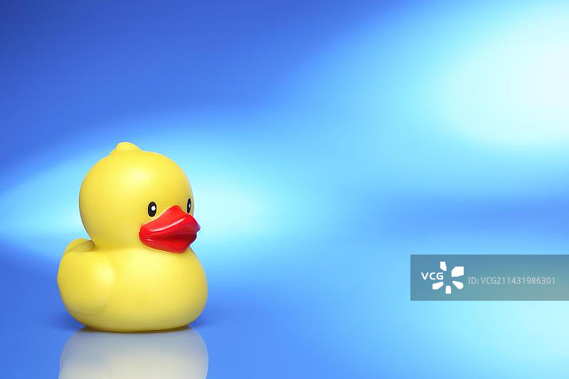 小黄鸭图片素材