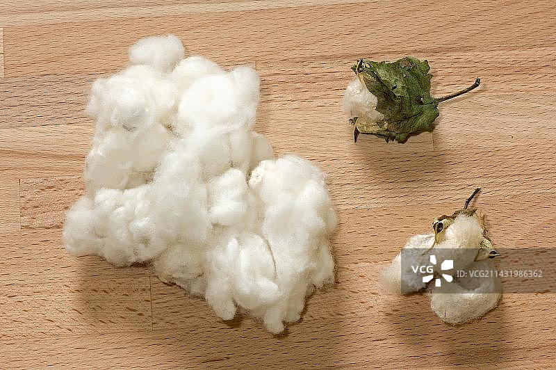 棉花图片素材