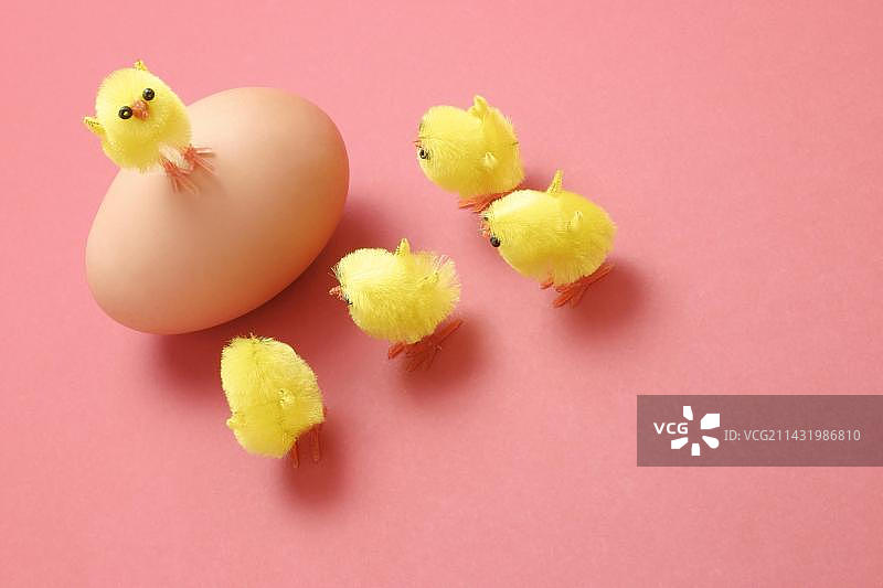 蓬松玩具小鸡和鸡蛋图片素材