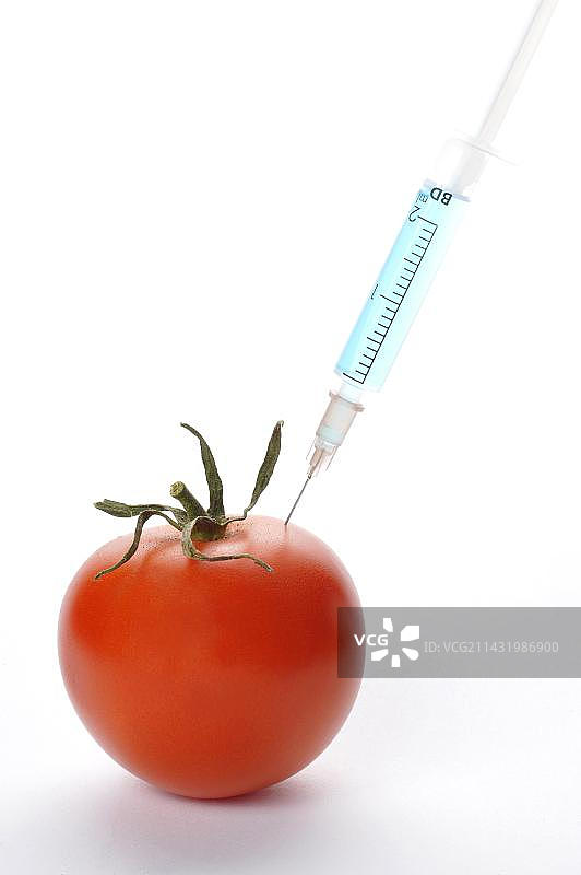 注射器在番茄中，转基因食品的象征图片素材