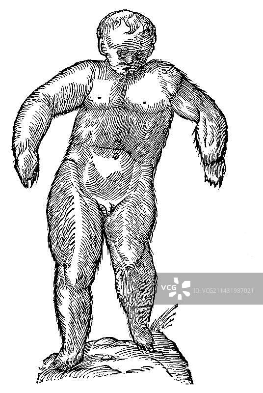 文艺复兴时期男孩与熊身木刻画图片素材