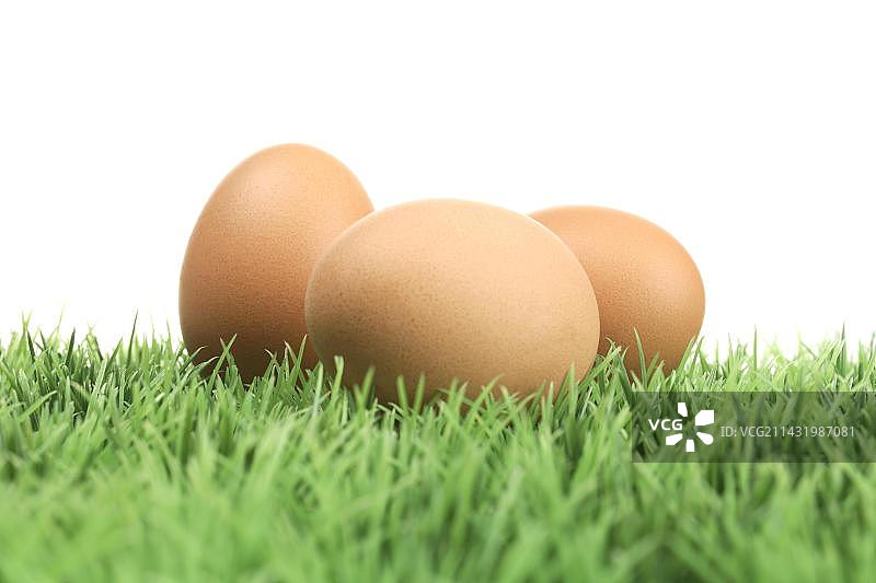 草地上的鸡蛋图片素材