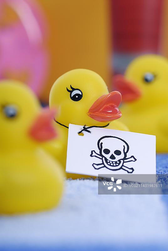 带有骷髅标签的橡胶鸭，橡胶和塑料产品中的毒物图片素材