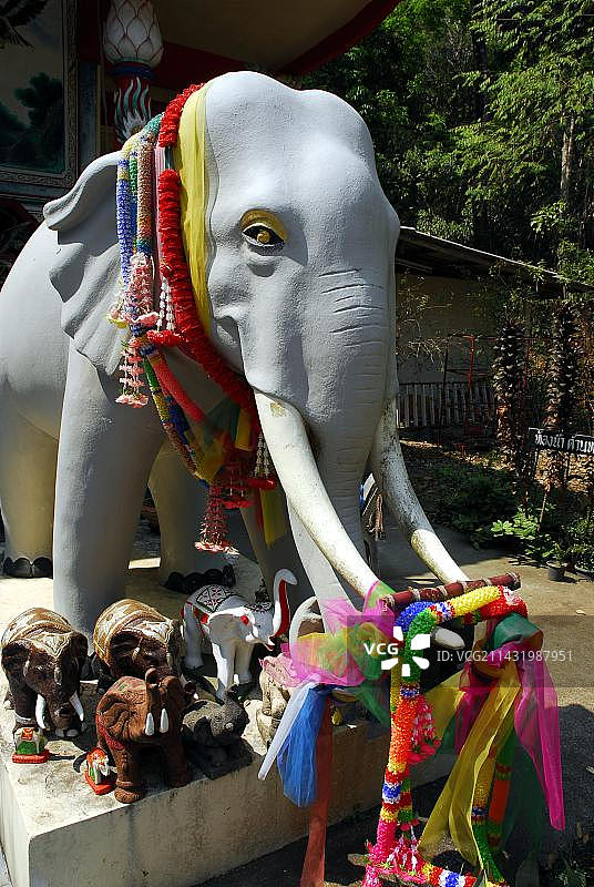 象在泰国象岛班功颂附近寺庙，象岛国家公园图片素材