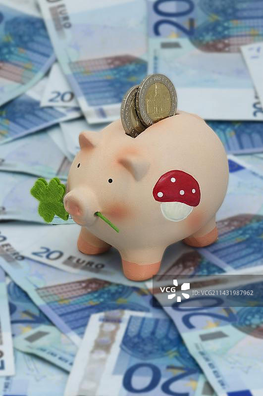 幸运猪，硬币储蓄罐站在二十欧元纸币上图片素材