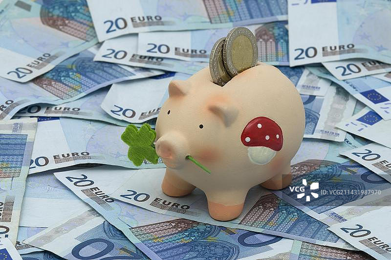 幸运猪，硬币储蓄罐站在二十欧元纸币上图片素材