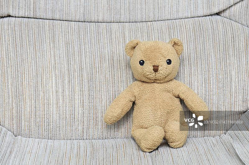 泰迪熊图片素材