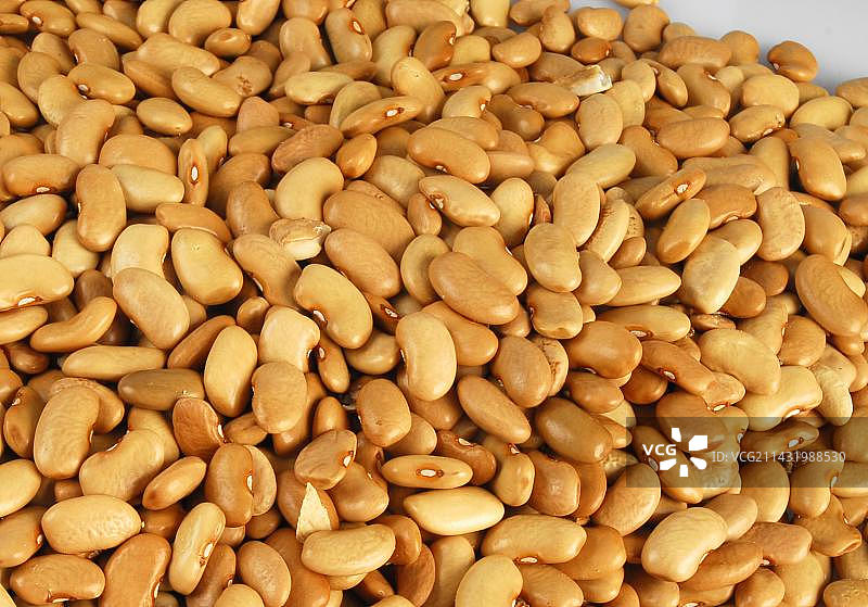 豆子。图片素材