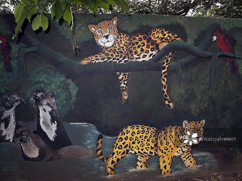 委内瑞拉动物画作，巴拉里达动物园和植物园，巴基西梅托，拉拉省，委内瑞拉，南美洲图片素材