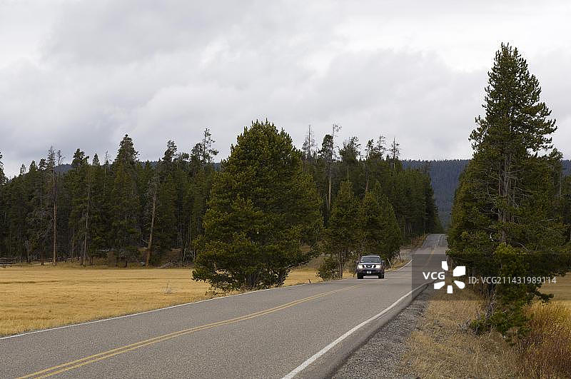 黄石国家公园鹈鹕溪的道路图片素材