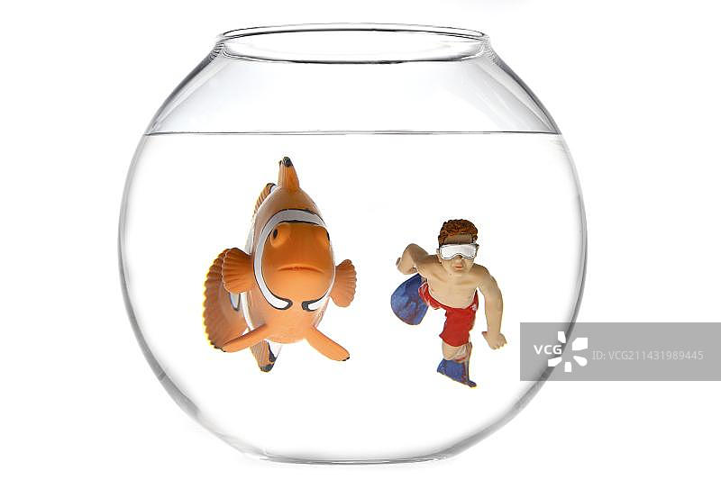 玩具小丑鱼和戴着潜水镜和脚蹼的男孩在鱼缸里游泳，插图图片素材