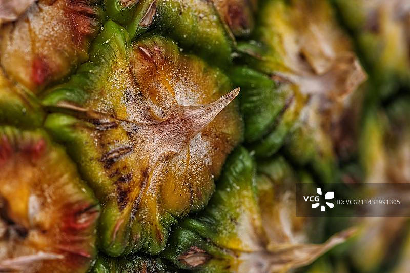 菠萝的表皮细节图片素材