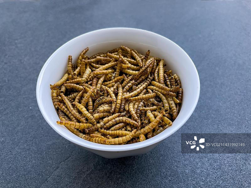 装有昆虫零食的碗：黄粉虫干燥幼虫（德国，欧洲）图片素材