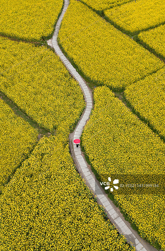 金色世界图片素材