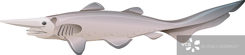 深海哥布林鲨图片素材