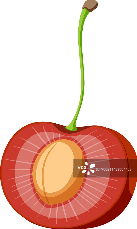 红色樱桃横截面图片素材