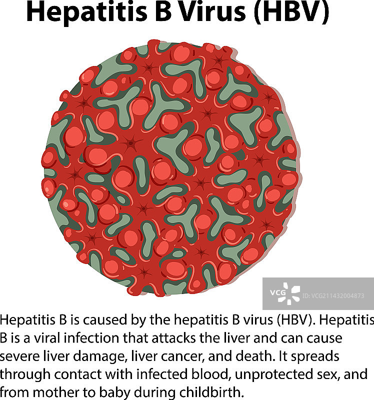 乙型肝炎病毒（HBV）图示图片素材