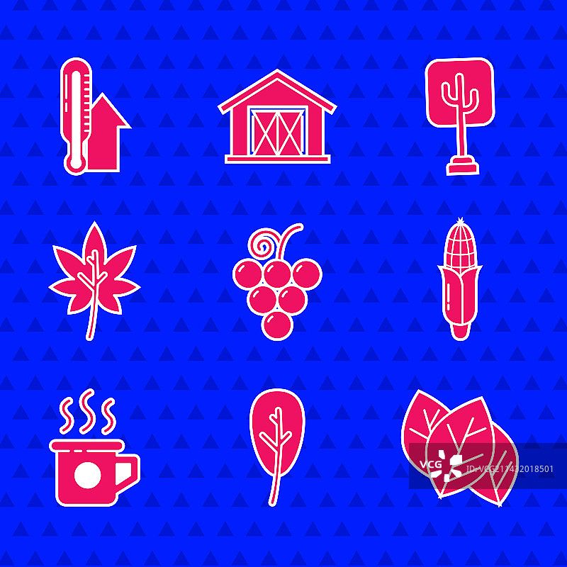 葡萄柚、叶子、玉米、茶杯组合图片素材